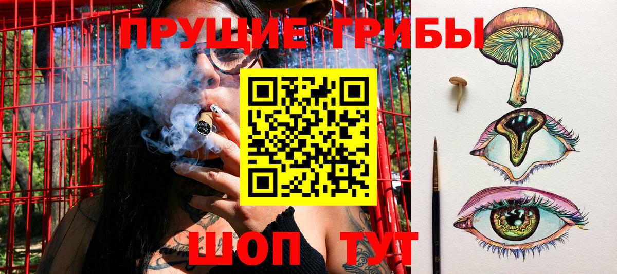 цена наркотик  Псилоцибиновые грибы MAGIC MUSHROOMS  Барнаул  Вход с VPN  Псилоцибиновые грибы Psilocybe 